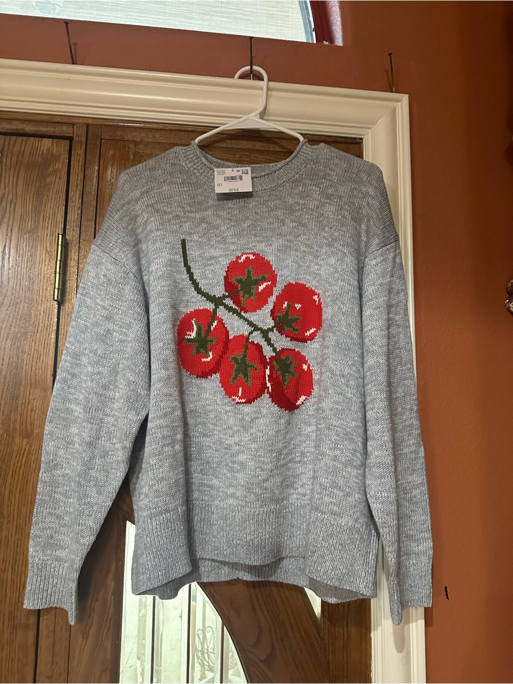 American Eagle Outfitters Gray Crewneck Sweater with Red Tomato Graphic